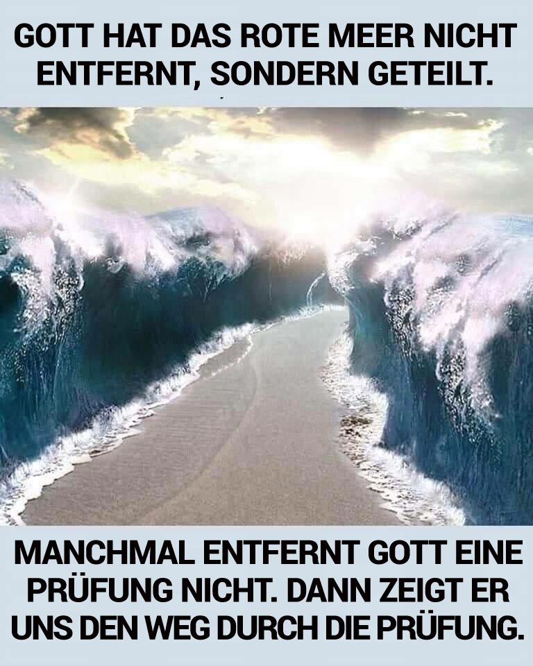 den Weg nach vorne